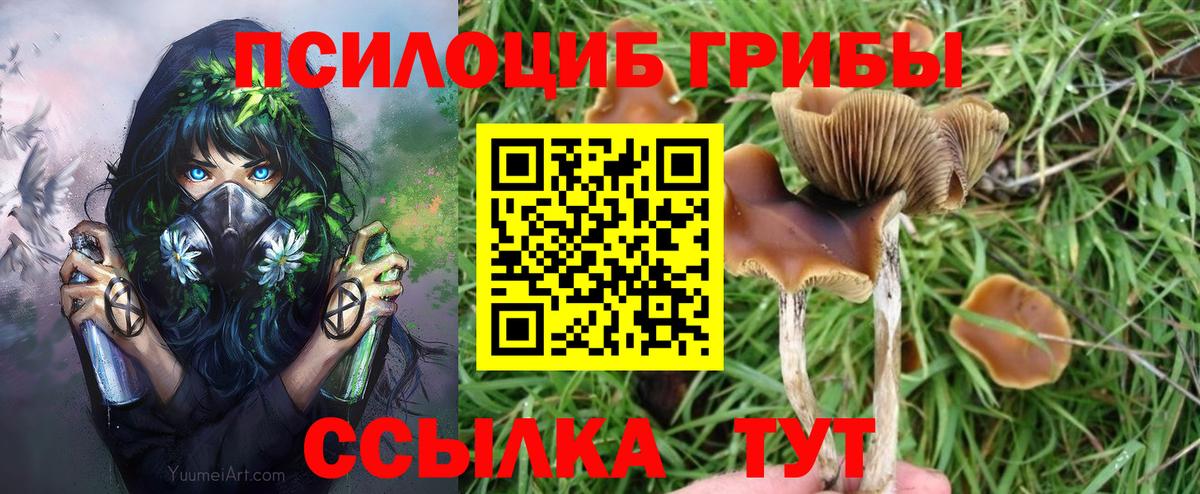 Галлюциногенные грибы Psilocybine cubensis  Вход с VPN  Волгодонск 